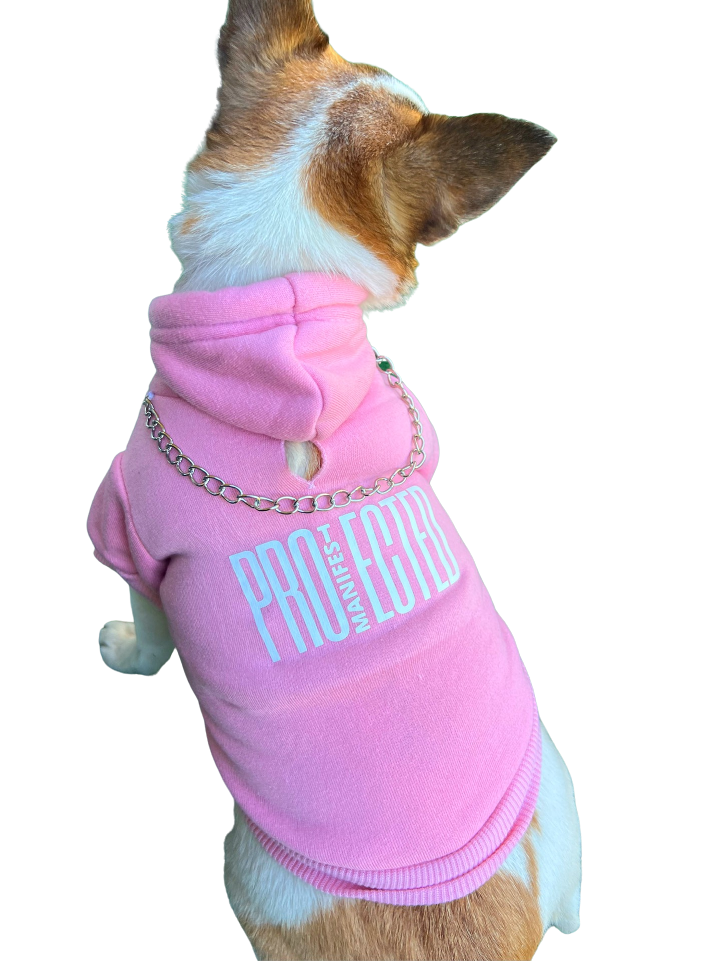 Protected Pawz Hoodie Pink